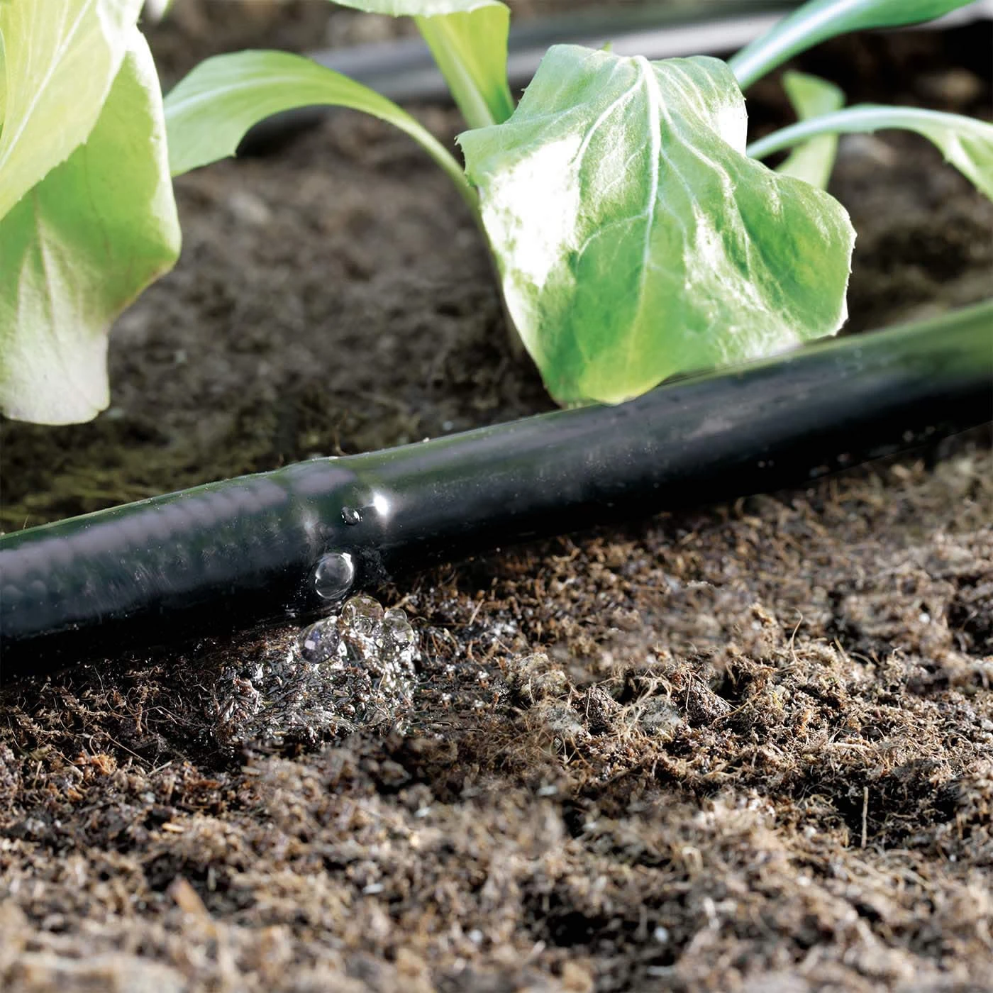 Claber Drip Line 50 Metre 13mm - 90357 - Image 2