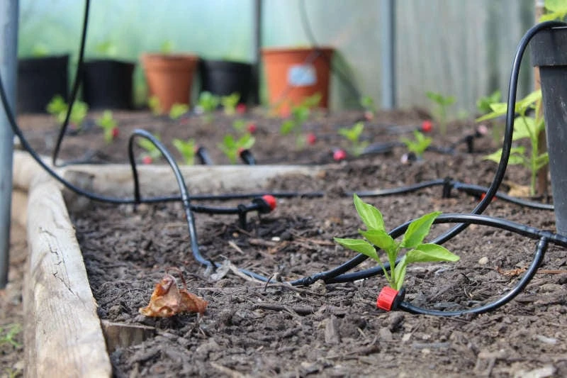 WaterMate Pro Automatic Greenhouse & Polytunnel Watering Kit - Image 7